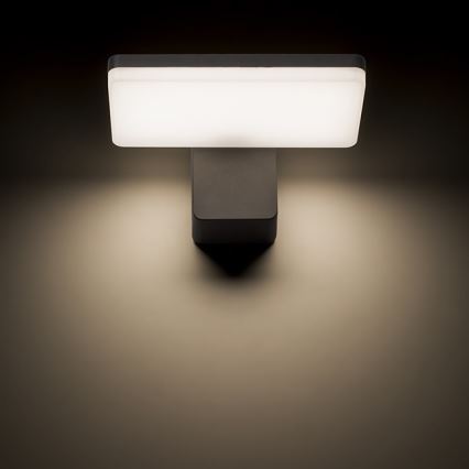 RED - Design Rendl - R11947- LED Екстериорен аплик RINA LED/12W/230V IP65