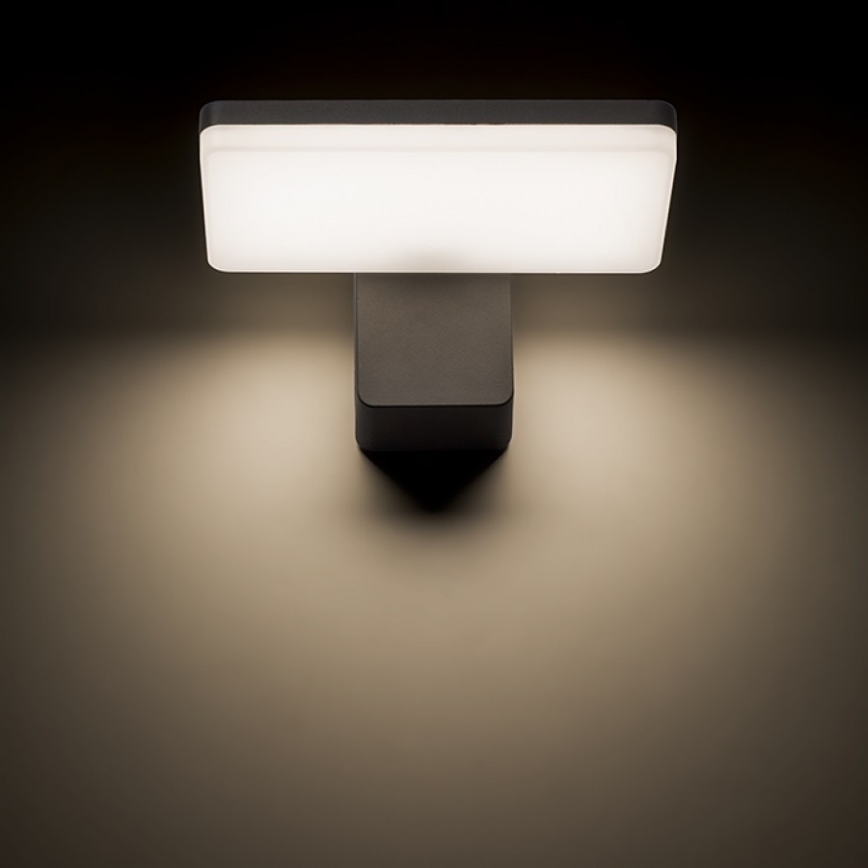 RED - Design Rendl - R11947- LED Екстериорен аплик RINA LED/12W/230V IP65