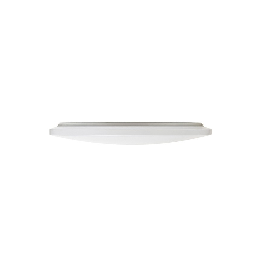 RED - Design Rendl - R12435 - LED Лампа SEMPRE LED/100W/230V
