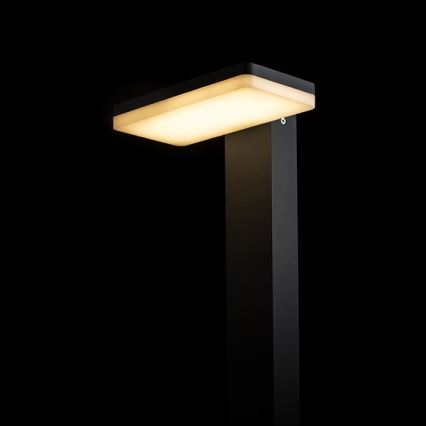 RED - Design Rendl - R12515 - LED Екстериорна лампа RINA LED/12W/230V IP44