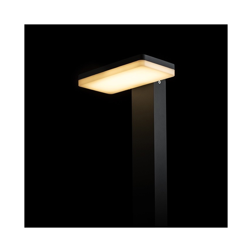 RED - Design Rendl - R12515 - LED Екстериорна лампа RINA LED/12W/230V IP44