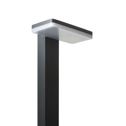RED - Design Rendl - R12515 - LED Екстериорна лампа RINA LED/12W/230V IP44