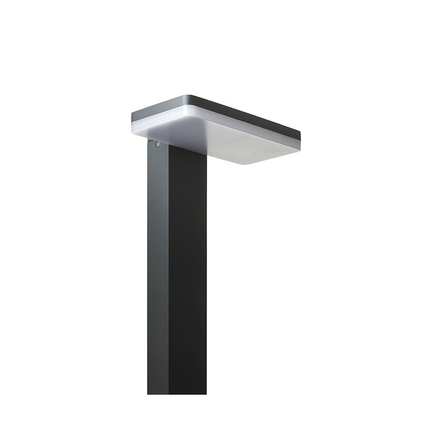 RED - Design Rendl - R12515 - LED Екстериорна лампа RINA LED/12W/230V IP44