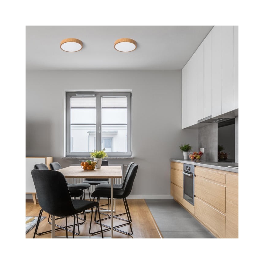 RED - Design Rendl - R12804 - LED Лампа HUE LED/24W/230V