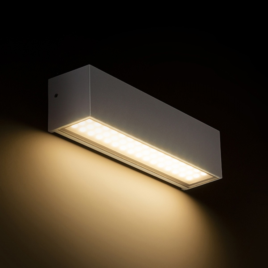 RED - Design Rendl - R13527 - LED Екстериорен аплик CAMARGUE LED/6W/230V IP65