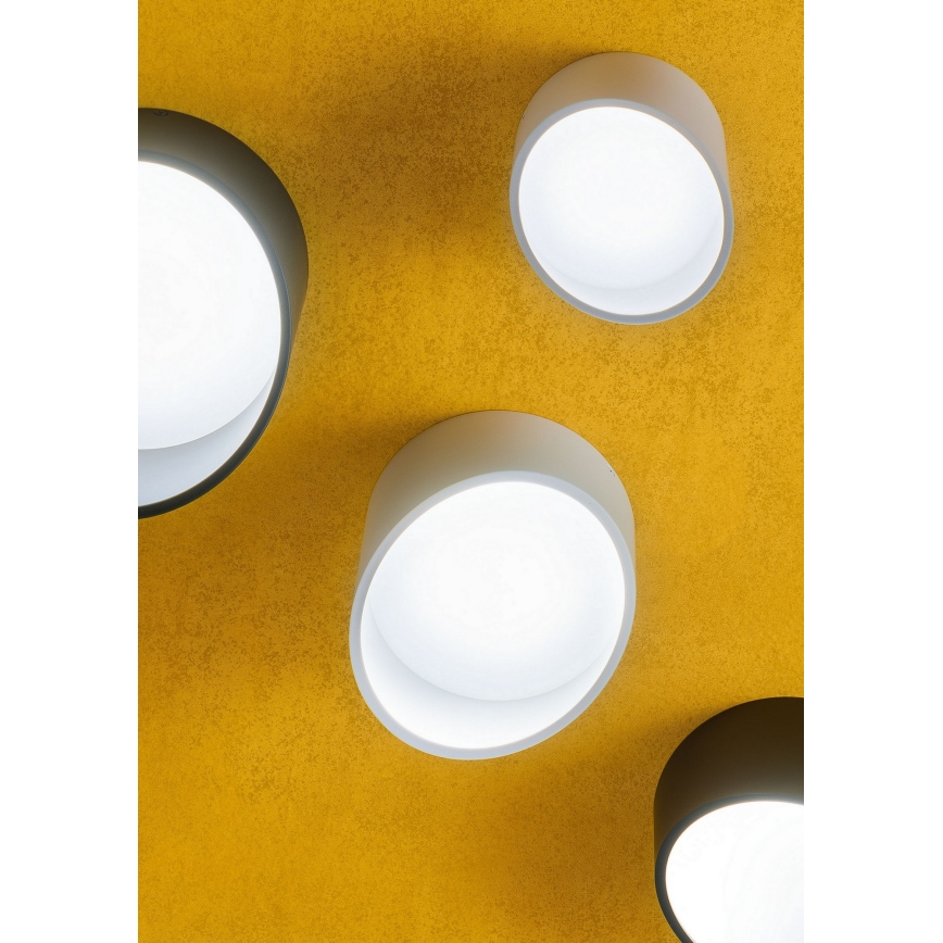 Redo 01-1625 - LED точково осветително тяло UTO LED/6W/230V пр. 9 см бяло