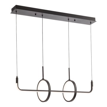 Redo 01-2705 - LED полилей на кабел OLIMP LED/40W/230V 3000/4000/6500K черен