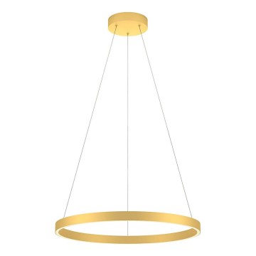 Redo 01-2865 - LED полилей на кабел FEBE LED/37W/230V, златен, с възможност за димиране