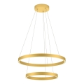 Redo 01-2889 - LED Димируем пендел FEBE LED/62W/230V златист