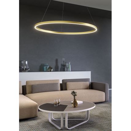 Redo 01-2889 - LED полилей на кабел с възможност за димиране FEBE LED/62W/230V златист