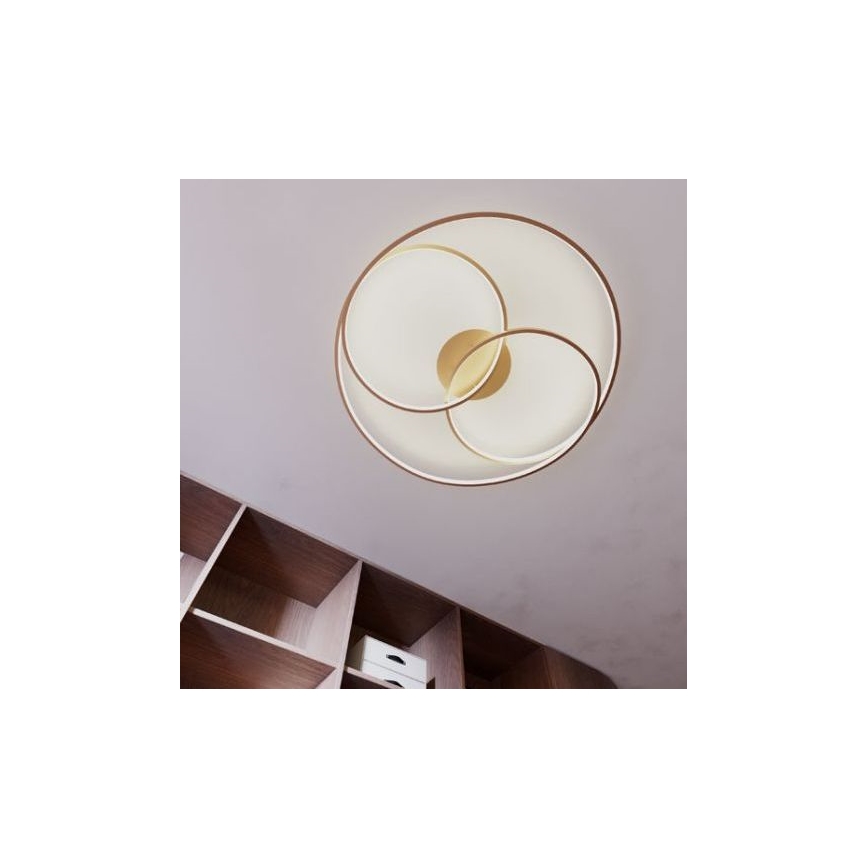 Redo 01-2973 - LED Плафониера CENTRIX LED/92W/230V бронзов