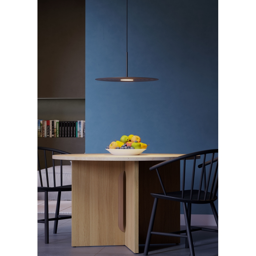 Redo 01-3047 - LED полилей на кабел LAKE LED/13W/230V CRI 90 Ø 50 см черен