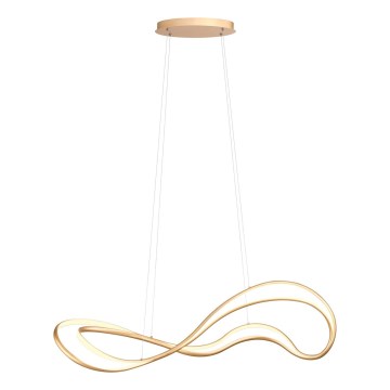 Redo 01-3598 - Димируем полилей на кабел TEMPEST LED/58W/230V златен