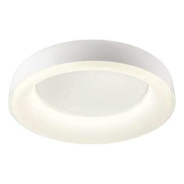 Redo 01-3941 - LED таванно осветително тяло DIP LED/40W/230V 2700/3000/4000/5000/6500K CRI 90 Ø 62,4 см бяло