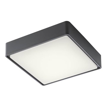 Redo 90157 - Екстериорна LED лампа за таван MARINA LED/12W/230V 22x22 см IP65 антрацит
