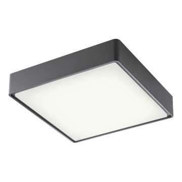 Redo 90158 - Екстериорна LED лампа за таван MARINA LED/16W/230V 29,6x29,6 см IP65 антрацит
