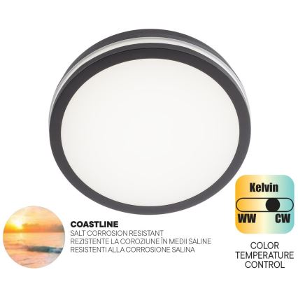 Redo 90286 - Екстериорна LED лампа за таван ISOLA LED/24W/230V Ø 26 см 3000/4000/6500K IP54 антрацит