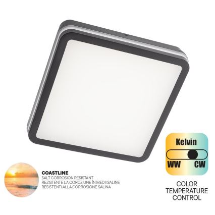 Redo 90288 - Екстериорна LED лампа за таван ISOLA LED/24W/230V 26x26 см 3000/4000/6500K IP54 антрацит