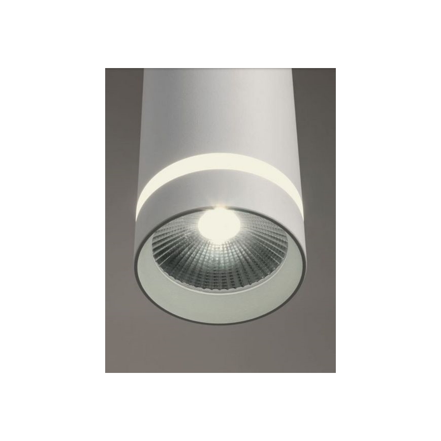 Redo 90513 - LED Екстериорна висяща лампа KLOU LED/9W/230V IP54 бял