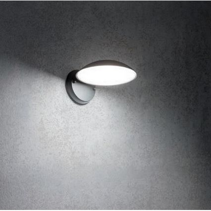 Redo 9617 - LED Екстериорен аплик CAPP LED/12W/230V IP54 антрацит