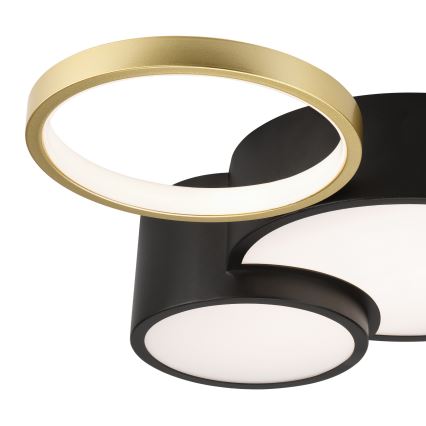 Регулируемо таванно осветително тяло ALIZEE LED/30W/230V 3000-6500K черно/златно