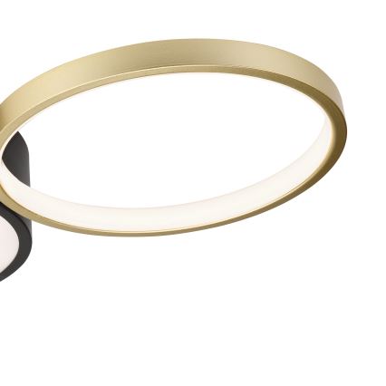 Регулируемо таванно осветително тяло ALIZEE LED/30W/230V 3000-6500K черно/златно