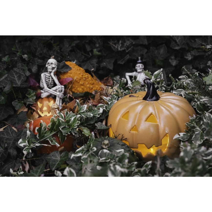 LED Декорация HALLOWEEN LED/2xLR44/топло бял скелет в тиква смола