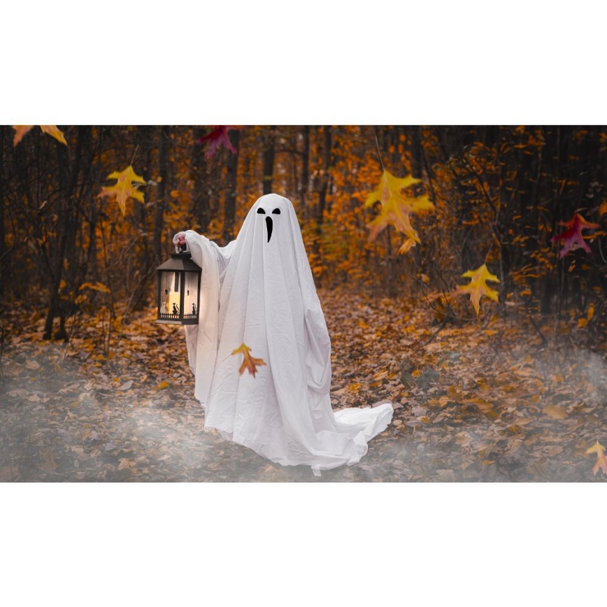 LED Декорация HALLOWEEN LED/3xAAA/топло бял фенер