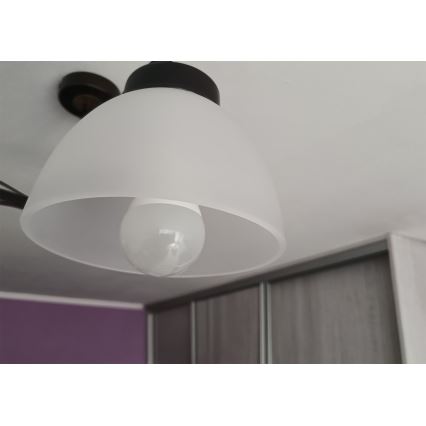 Резервно опалово стъкло за полилей с цокъл E27, Ø 18 см