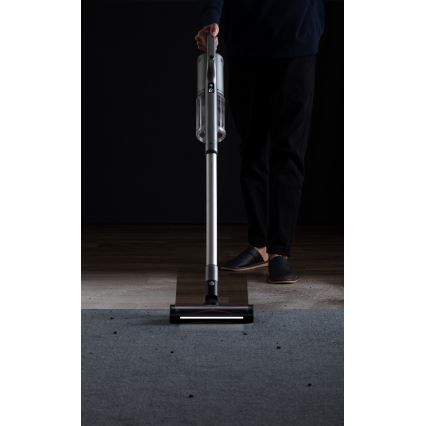 ROIDMI RI-X30PRO - Пръчковидна прахосмукачка 2в1 с OLED дисплей и аксесоари 435W/2500 mAh матов хром