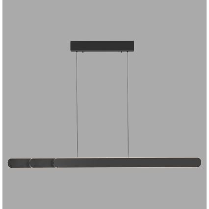 Schöner Wohnen 12577-18 - димируем LED висящ полилей на кабел ADRIANA ROUND 2xLED/24W/230V 2700/3000/3500/4000/5000K 160 cm черен