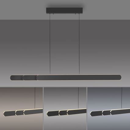 Schöner Wohnen 12577-18 - LED полилей на кабел ADRIANA ROUND с възможност за димиране 2xLED/24W/230V 2700/3000/3500/4000/5000K черен