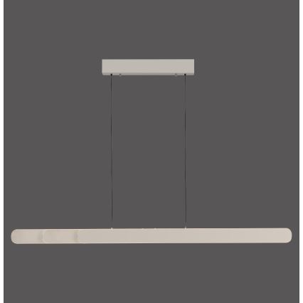 Schöner Wohnen 12577-39 - Димируема LED висяща лампа на кабел ADRIANA ROUND 2xLED/24W/230V 2700/3000/3500/4000/5000K сива