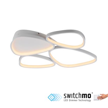 Schöner Wohnen 14038-16 - LED димируемо таванно осветително тяло PEBBLES LED/35,5W/230V бяло