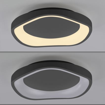 Schöner Wohnen 14233-18 - димируемо LED таванно осветително тяло MONTA LED/21W/230V Ø 40 см черно