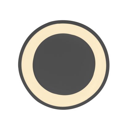 Schöner Wohnen 14233-18 - димируемо LED таванно осветително тяло MONTA LED/21W/230V Ø 40 см черно