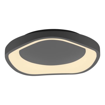 Schöner Wohnen 14233-18 - димируемо LED таванно осветително тяло MONTA LED/21W/230V Ø 40 см черно