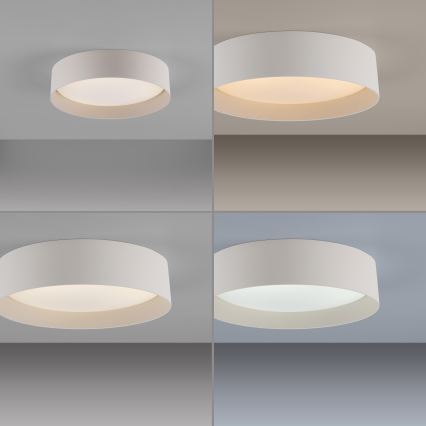 Schöner Wohnen 14593-39 - LED димируемо таванно осветително тяло TAVOLI LED/10W/230V 2700-6500K диаметър 28,5 см сив + дистанционно управление