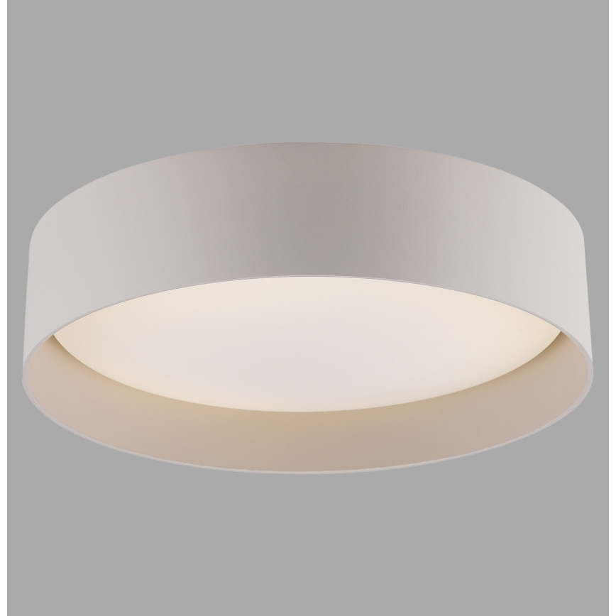 Schöner Wohnen 14593-39 - LED димируемо таванно осветително тяло TAVOLI LED/10W/230V 2700-6500K диаметър 28,5 см сив + дистанционно управление