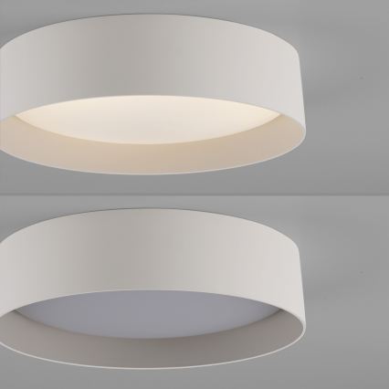 Schöner Wohnen 14593-39 - LED димируемо таванно осветително тяло TAVOLI LED/10W/230V 2700-6500K диаметър 28,5 см сив + дистанционно управление