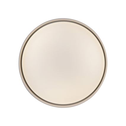 Schöner Wohnen 14593-39 - LED димируемо таванно осветително тяло TAVOLI LED/10W/230V 2700-6500K диаметър 28,5 см сив + дистанционно управление