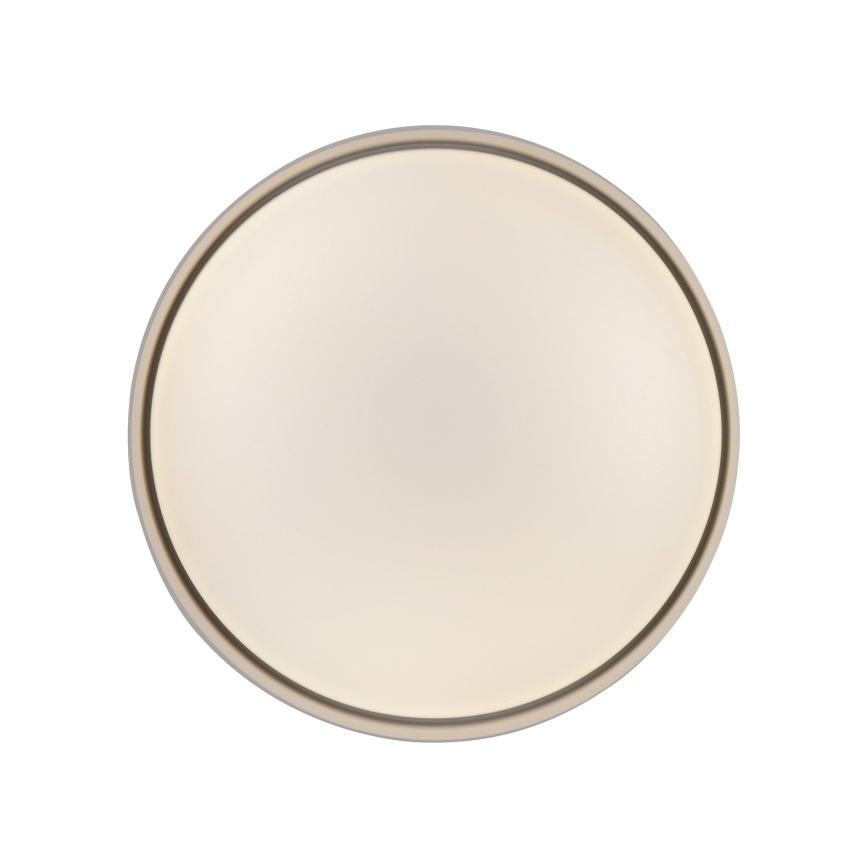 Schöner Wohnen 14593-39 - LED димируемо таванно осветително тяло TAVOLI LED/10W/230V 2700-6500K диаметър 28,5 см сив + дистанционно управление