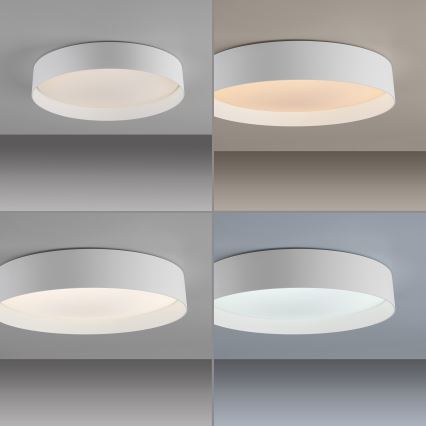 Schöner Wohnen 14594-16 - LED димируема плафонна лампа TAVOLI LED/20W/230V 2700-6500K Ø39 см бяла + дистанционно управление