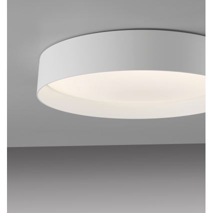 Schöner Wohnen 14594-16 - LED димируема плафонна лампа TAVOLI LED/20W/230V 2700-6500K Ø39 см бяла + дистанционно управление