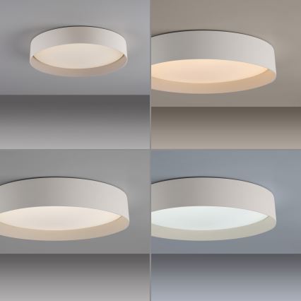 Schöner Wohnen 14594-39 - Димируемо LED таванно осветително тяло TAVOLI LED/20W/230V 2700-6500K Ø 39 см, сиво + дистанционно управление