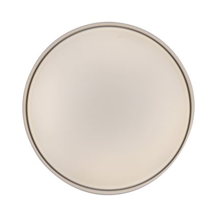 Schöner Wohnen 14594-39 - Димируемо LED таванно осветително тяло TAVOLI LED/20W/230V 2700-6500K Ø 39 см, сиво + дистанционно управление