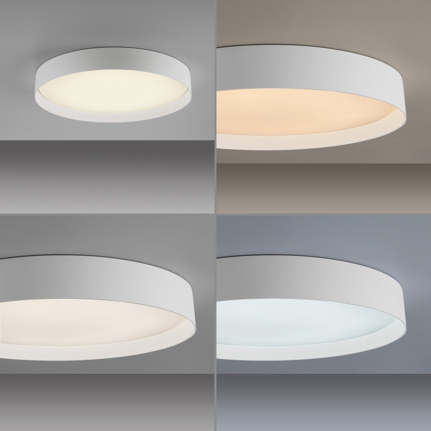 Schöner Wohnen 14595-16 - димируема LED таванна лампа TAVOLI LED/34W/230V 2700-6500K Ø 49 см бяла + дистанционно управление