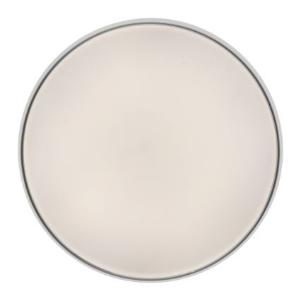 Schöner Wohnen 14595-16 - димируема LED таванна лампа TAVOLI LED/34W/230V 2700-6500K Ø 49 см бяла + дистанционно управление