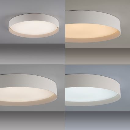 Schöner Wohnen 14595-39 - Димируем таванен LED плафон TAVOLI LED/34W/230V 2700-6500K Ø 49 см, сив + дистанционно управление