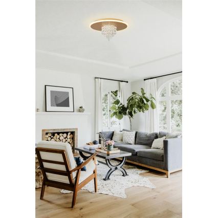 Searchlight - LED Таванно осветително тяло DELUGE LED/20W/230V Ø 31,5 см, златисто, с възможност за димиране